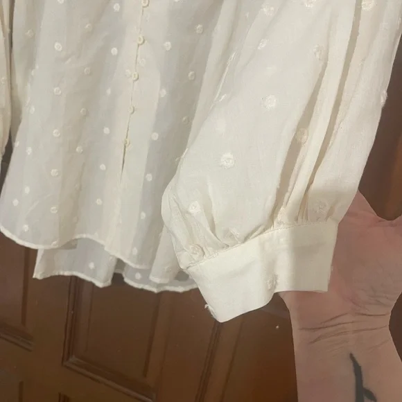 Mango - Picture 5 of 5